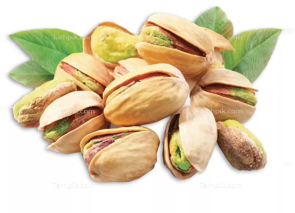 محصول آزمایشی شماره 7